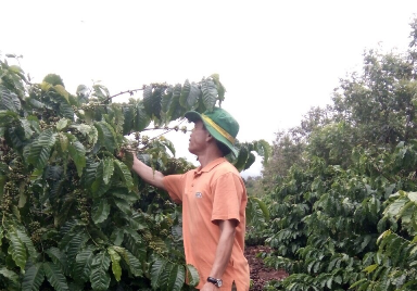 Gương điển hình nông dân sản xuất giỏi