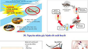 Triển khai Kế hoạch và tập huấn kỹ năng cho đội xung kích diệt lăng quang, bò gậy năm 2019 trên địa bàn xã Ea H’Leo.
