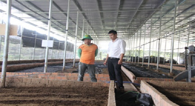 Tấm gương điển hình sản xuất kinh doanh giỏi