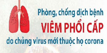 Thành lập Ban chỉ đạo phòng chống dịch bệnh viêm đường hô hấp cấp