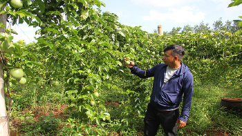 Huyện Ea H'Leo có 06 xã đạt chuẩn nông thôn mới