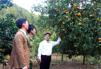 Triển khai thực hiện công tác dân vận chính quyền năm 2020 trên địa bàn huyện Ea H’Leo