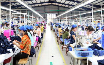 Tổ chức Tổng điều tra kinh tế năm 2021