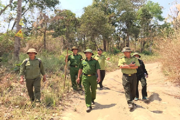 Tăng cường kiểm tra công tác phòng cháy, chữa cháy rừng trong mùa hanh khô trên địa bàn huyện Ea H’Leo