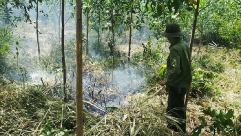 Huyện Ea H'Leo chủ động phòng, chống cháy rừng