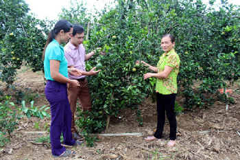 Huyện Ea H’Leo thực hiện phong trào thi đua “Dân vận khéo” và “Năm dân vận khéo” năm 2020
