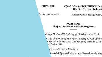 Chính phủ ban hành Nghị định số 62/2020/NĐ-CP về vị trí việc làm và biên chế công chức