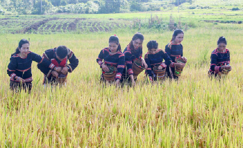 Bảo tồn và phát huy di sản văn hóa các dân tộc trên địa bàn huyện Ea H’Leo