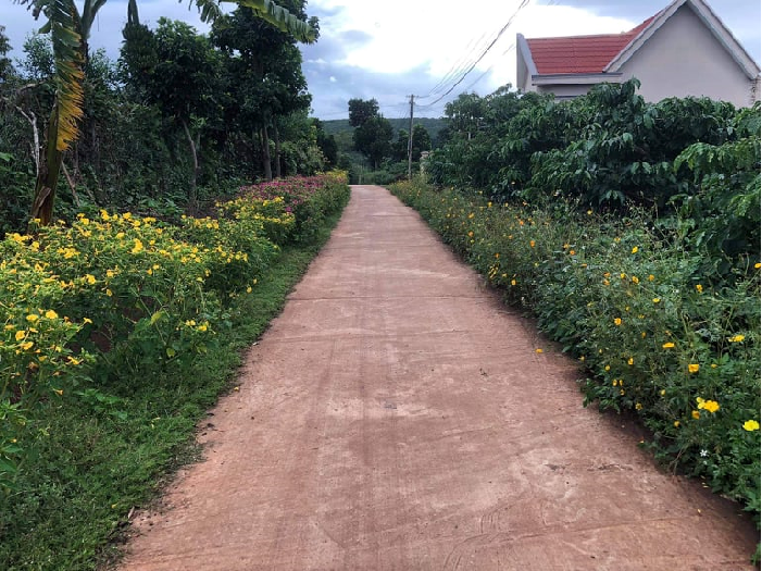 Hiệu quả mô hình con đường hoa phụ nữ tại xã Ea Hiao