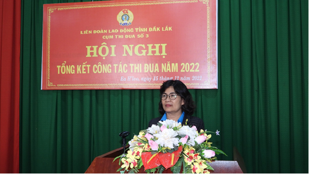 Liên đoàn lao động (LĐLĐ) tỉnh Đắk Lắk tổng kết công tác cụm thi đua số 3