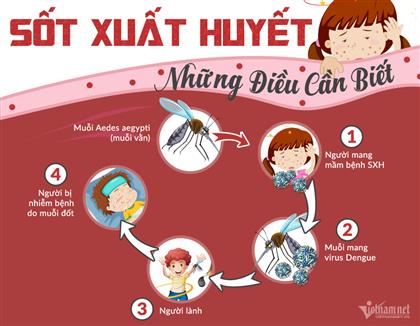 Sốt xuất huyết Dengue – Những điều cần biết