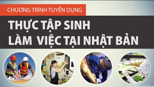 Tuyển chọn thực tập sinh Đợt 02/2024
