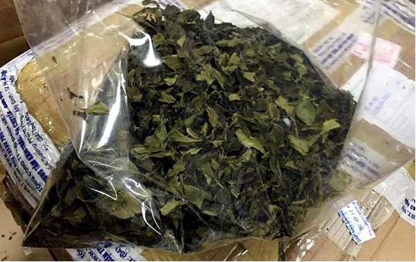 Cảnh báo 02 chất mới tương tự ma túy lần đầu tiên phát hiện tại Việt Nam