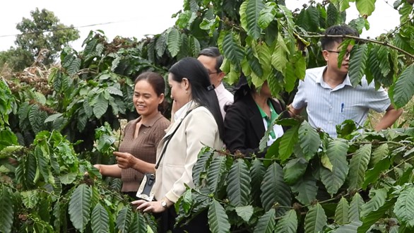 Sử dụng nguồn vốn vay đúng mục đích, nhiều hộ dân xã Ea Răl thoát nghèo
