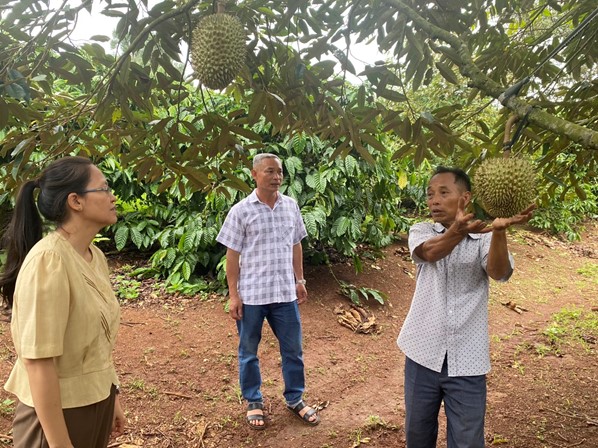 Người cán bộ Mặt trận thôn giỏi làm kinh tế, khéo vận động nhân dân