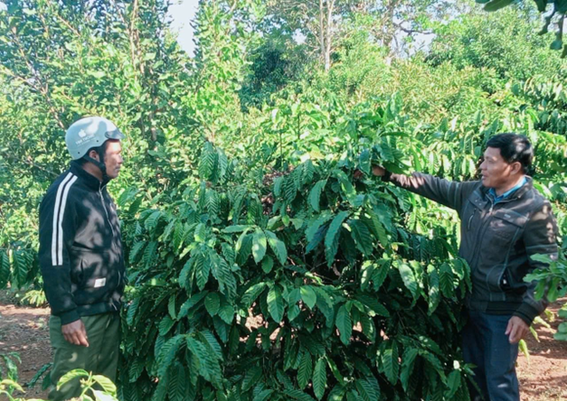 Thường trực Hội Nông dân xã Ea Drăng kiểm tra các dự án vay vốn Quỹ Hỗ trợ nông dân