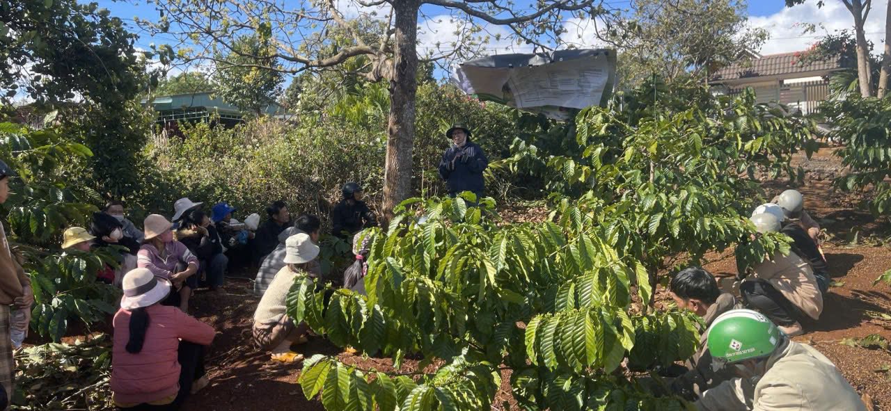 Lớp học đồng ruộng về canh tác nông nghiệp chống chịu biến đổi khí hậu