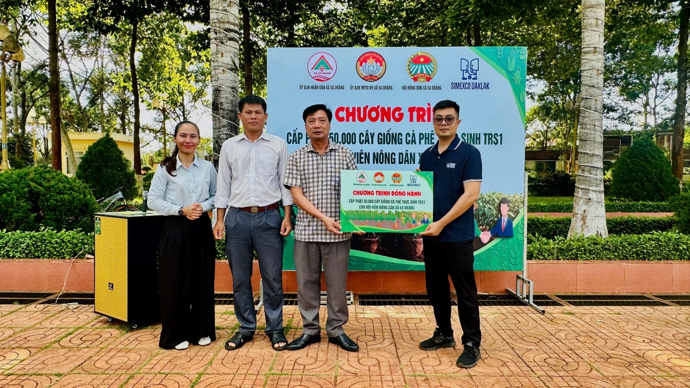 Xã Ea Drăng cấp phát 50 nghìn cây giống cà phê TRS1 hỗ trợ nông dân tái canh, phát triển sản xuất bền vững
