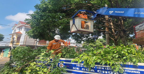 Điện lực Ea H’Leo chủ động phát quang hành lang lưới điện, bảo đảm cấp điện an toàn điện trong mùa mưa